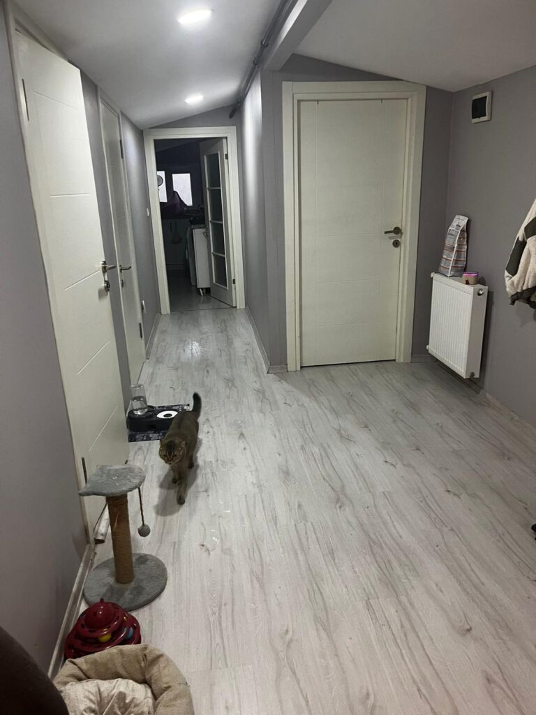 Bayan yanına bayan arkadaş ariyorum